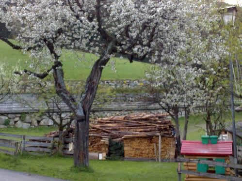 Residence Schneiderhof Innichen Exterior foto